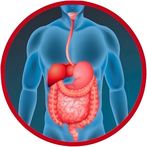 GI Endoscopic Solution